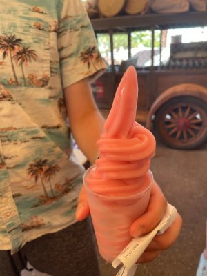 IMG_1760.jpeg