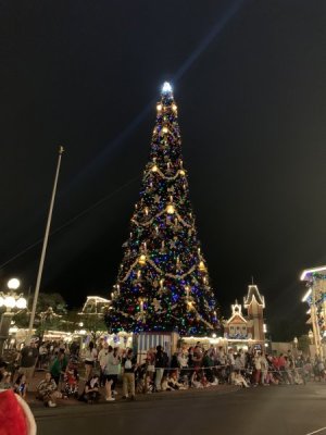 IMG_2273.jpeg