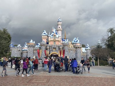 6E381615-9CA1-484E-9694-5936E1BA62F2.jpeg