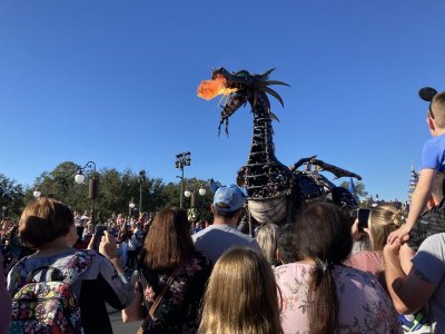 IMG_8773.jpg