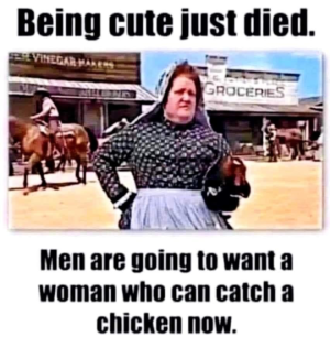 1673923507213.png