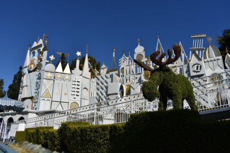 DSC_0103.JPG