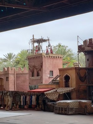 20220205_121743.jpg