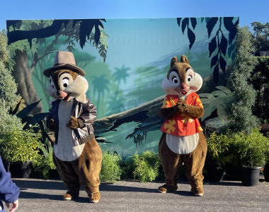 Chip and Dale.png