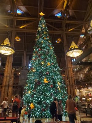 20221126_173409.jpg