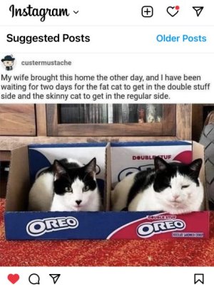 20C5FE8C-2FD9-461E-A8EE-4D06AF0383C9.jpeg
