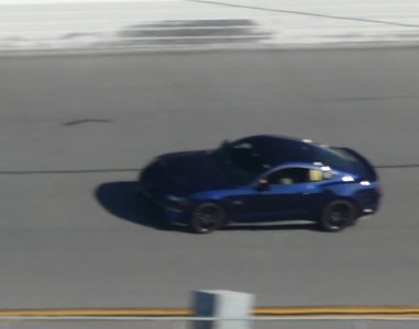 mustang_P1020698.jpg