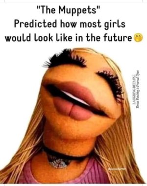 279660405_165992555816389_4314281851201297712_n.jpg
