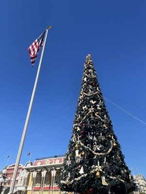 135.JPG