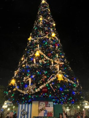72617818-F8FC-4C36-B4B6-12316DCA1426.jpeg