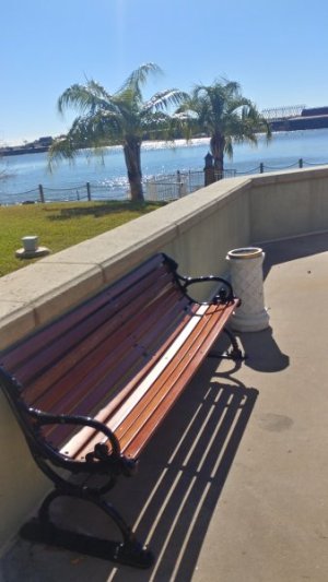 20230127_110625_HDR.jpg