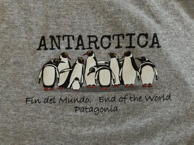Day 3 penguin shirt.jpg
