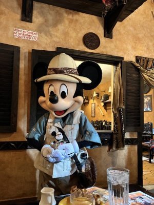 mickey toy.jpg mickey toy.jpg