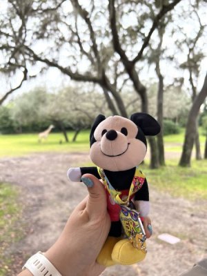mickey safari.jpg mickey safari.jpg