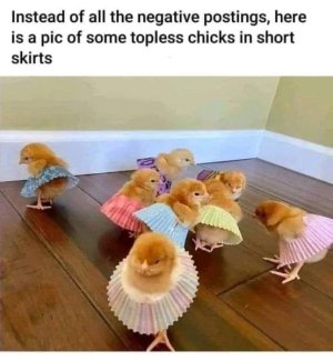 285665706_3184318991832176_1053032101659104282_n.jpg