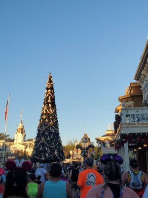 20230108_074536.jpg