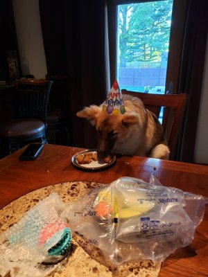 Meg is 1.jpg