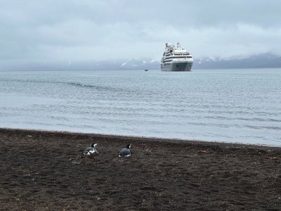 IMG_1299.jpg