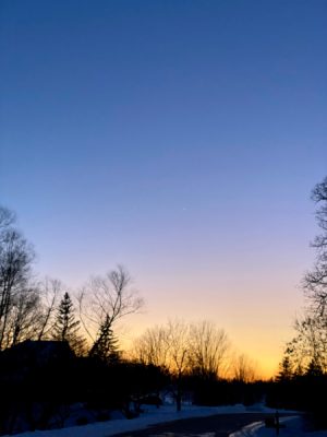 1C17EF55-AD48-4BBD-B33F-71840E1F4932.jpg