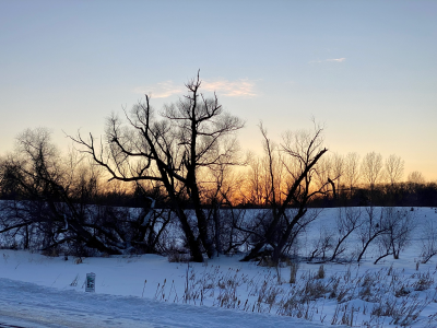 DF33E637-C1BE-4E59-859C-6C31A10E705F.jpg