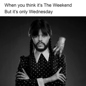 1675257085417.png