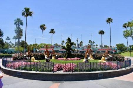 DSC_1216.JPG