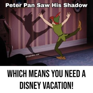 meme Disney vacation.jpg