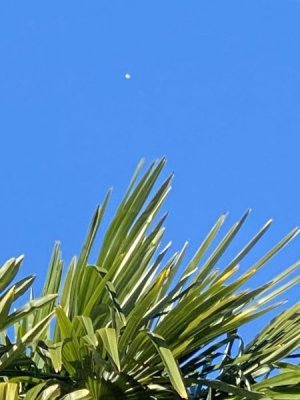 IMG_4076.jpg