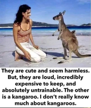 1675700169935.png