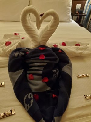 20220120_221730.jpg