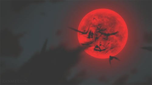C1963E47-144D-42A0-83DF-42B561D35DB7.gif