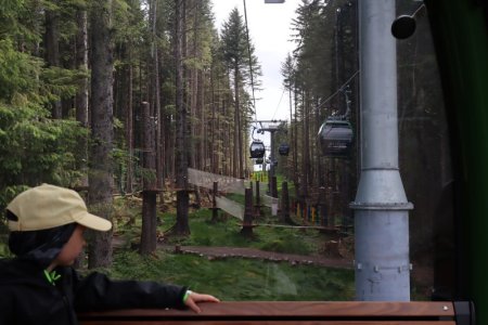 IMG_1411_original.JPG IMG_1411_original.JPG