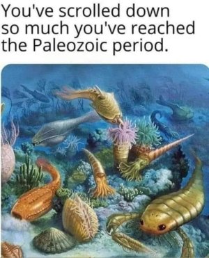 293776854_5512024595508269_675610128129836553_n.jpg
