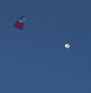 1675886561684.png