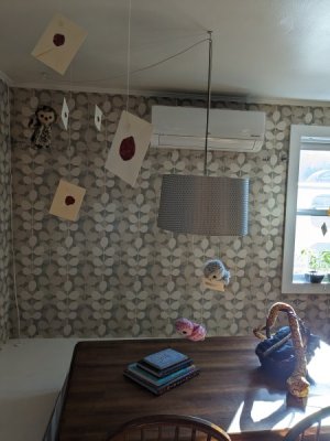 PXL_20230130_172926261.jpg