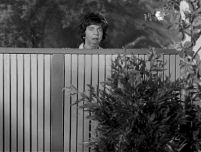 Gladys Kravitz.gif