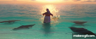 438mdT.gif