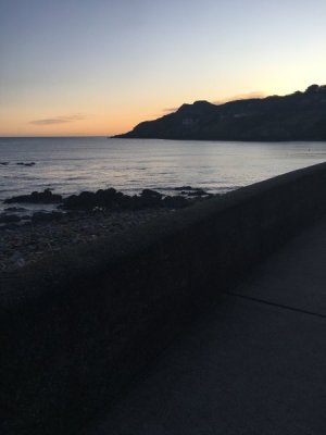 IMG_2514.jpeg