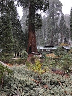 IMG_1302.jpg