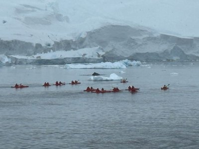 Day 6 kayak whale.jpg