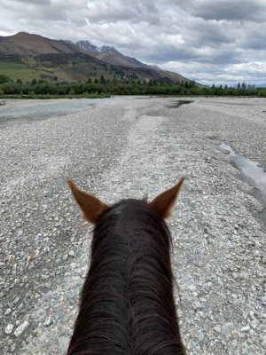 Horse ride.jpeg