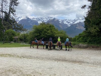 Horses.jpeg