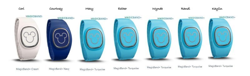 Magic Band - Options!.jpg