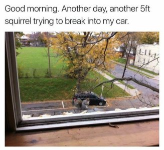 1676931963725.jpeg