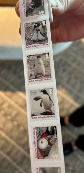Day 7 Lockroy stamps.jpg
