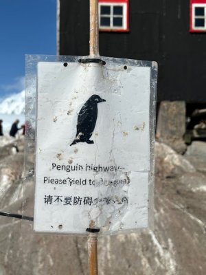 Day 7 Lockroy highway.jpg