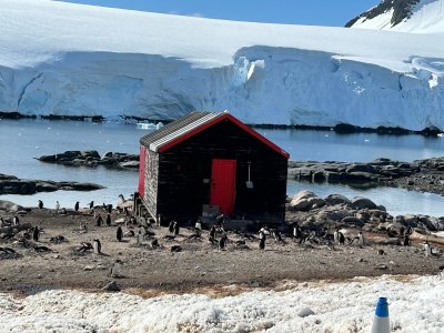 Day 7 Lockroy shed.jpg