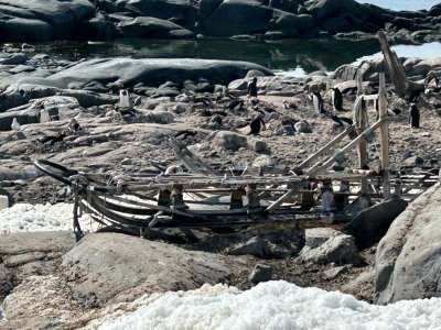 Day 7 Lockroy sled    .jpg