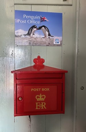Day 7 Penguin post .jpg