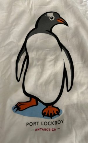 Day 7 Lockroy shirt 1.jpg
